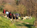 Monte Barro - Noviziato