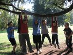 IMG_6307 _800x600_.jpg