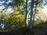 DSCN7381.JPG