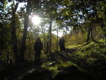 DSCN7382.JPG