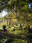 DSCN7385.JPG