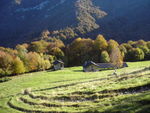DSCN7393.JPG