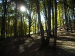 DSCN7394.JPG