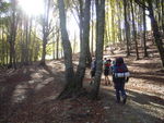 DSCN7395.JPG