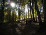 DSCN7396.JPG