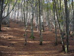 DSCN7397.JPG