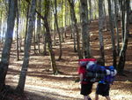 DSCN7398.JPG