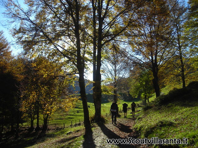 DSCN7399.JPG