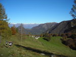 DSCN7401.JPG