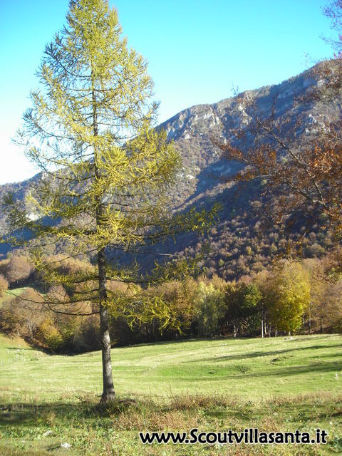 DSCN7402.JPG