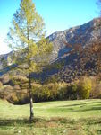 DSCN7402.JPG