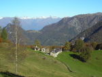 DSCN7403.JPG
