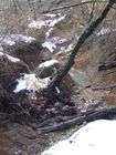 Torrente percorso Squali