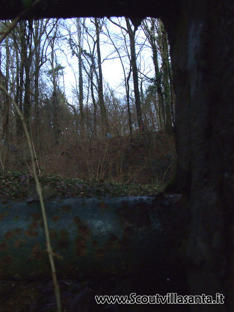 Squali oltre lo sbarramento fluviale