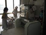 IMG_0463 _800x600_.jpg