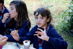 IMG_5475.JPG