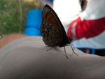 20110801-IMG_2434.jpg