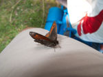 20110801-IMG_2435.jpg