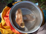 20110805-IMG_2506.jpg
