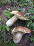 20110805-IMG_2509.jpg