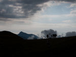 20110806-IMG_2545.jpg