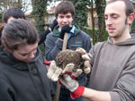 Lavori in base