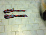 P1000365.JPG