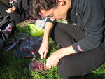 IMG_3212.JPG
