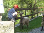 Enea...
