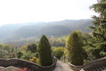 IMG_5633.JPG