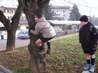 Luca R non ci riuscir