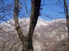 verso S. Pietro!