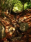 campo2006 037.jpg