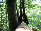 campo2006 038.jpg