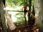campo2006 041.jpg
