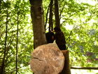 campo2006 042.jpg