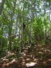 DSCN2519.JPG