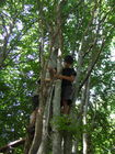 DSCN2520.JPG