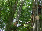 DSCN2521.JPG