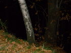 11 nov07 004.jpg