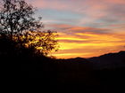 11 nov07 020.jpg
