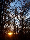 11 nov07 022.jpg