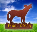 Lupetti Branco Fiore Rosso